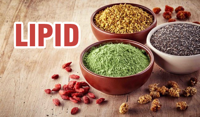 Lipid